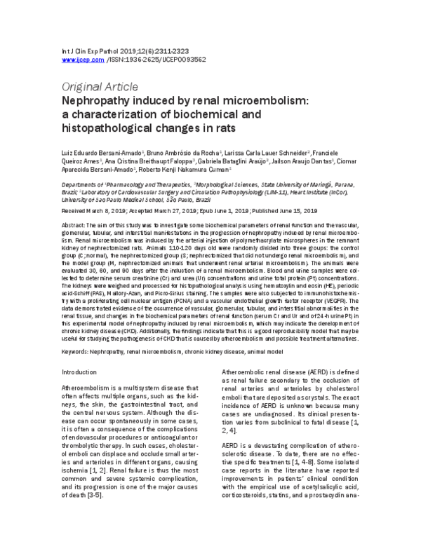 (PDF) Nephropathy induced by renal microembolism: a characterization of ...