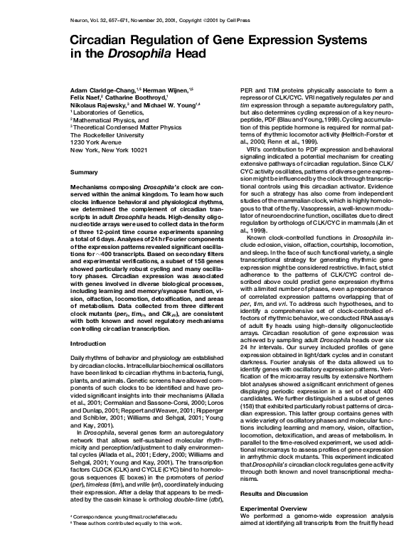 (PDF) Circadian Regulation of Gene Expression Systems in the Drosophila ...