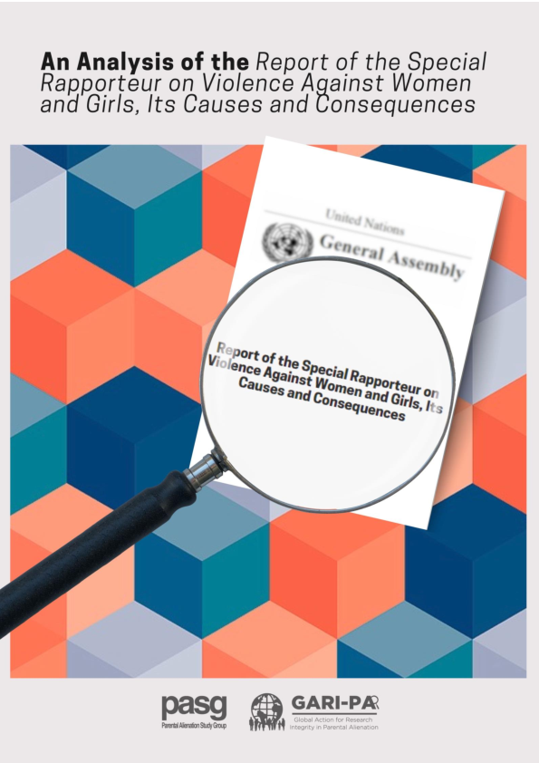 (PDF) An Analysis of the Report by the Special Rapporteur on Violence ...