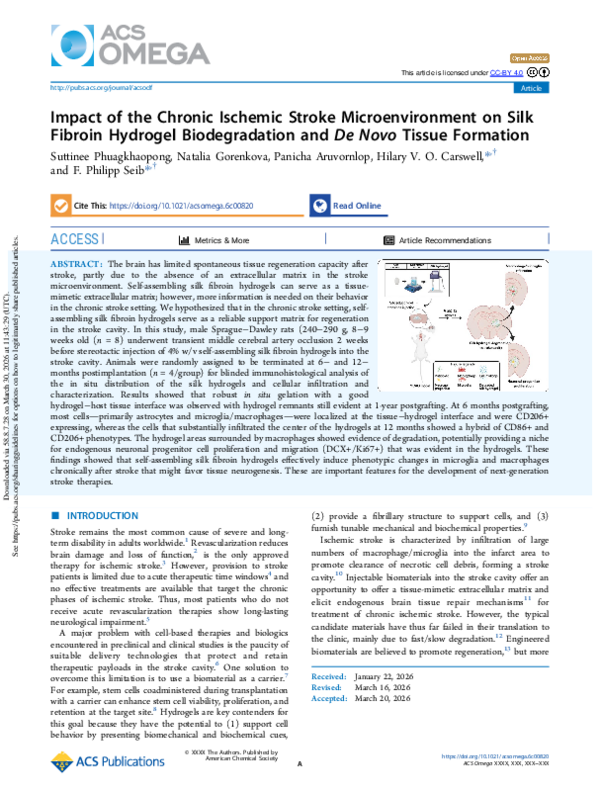 (PDF) Impact of the Chronic Ischemic Stroke Microenvironment on Silk ...