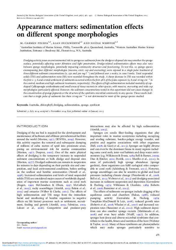 (PDF) Appearance matters: sedimentation effects on different sponge ...