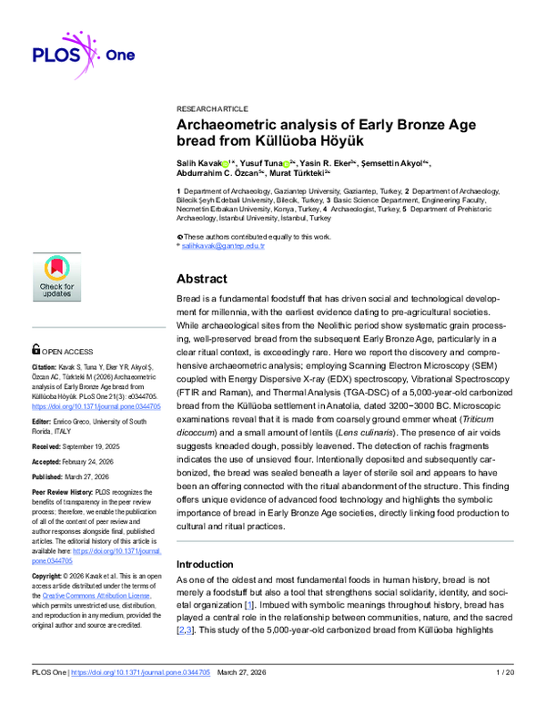 (PDF) Archaeometric analysis of Early Bronze Age bread from Küllüoba Höyük