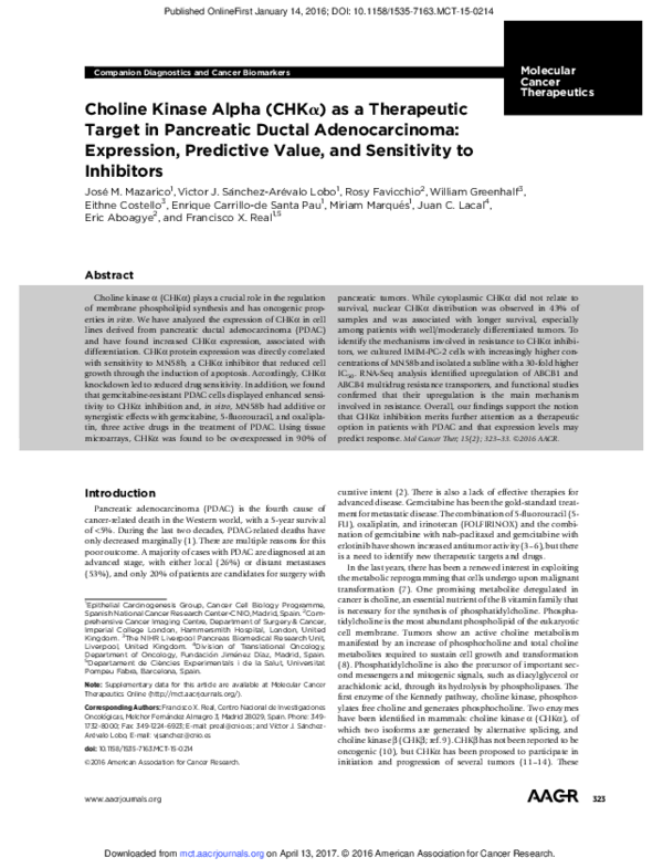 (PDF) Choline Kinase Alpha (CHKα) as a Therapeutic Target in Pancreatic ...