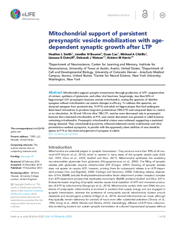 (PDF) Mitochondrial support of persistent presynaptic vesicle ...