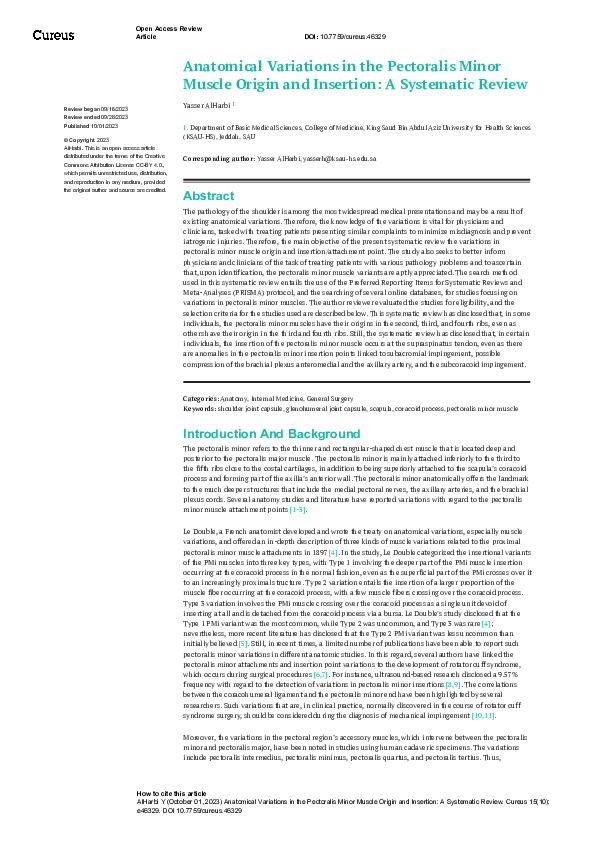 (PDF) Anatomical Variations in the Pectoralis Minor Muscle Origin and ...