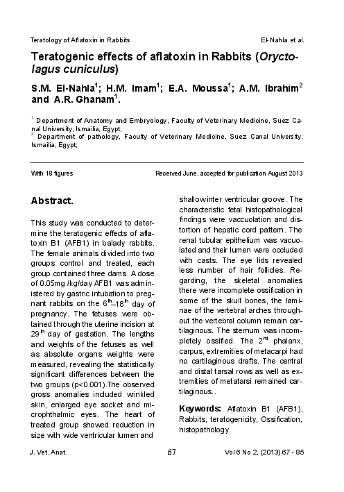 (PDF) Teratogenic effects of aflatoxin in Rabbits (Oryctolagus cuniculus)