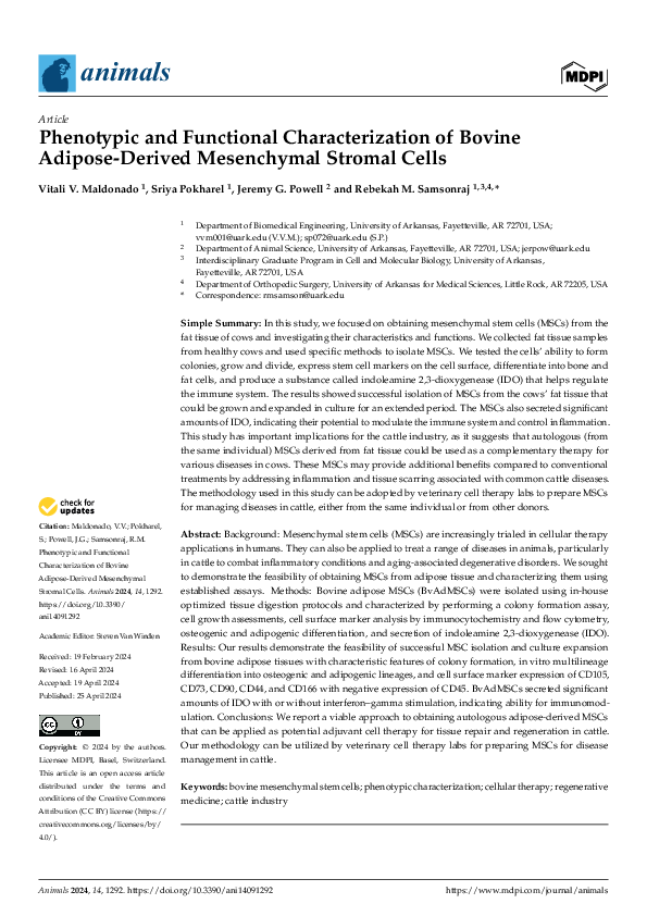 (PDF) Phenotypic and Functional Characterization of Bovine Adipose ...