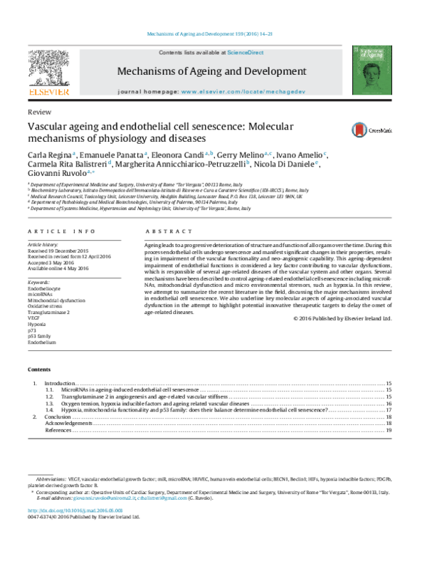 (PDF) Vascular ageing and endothelial cell senescence: Molecular ...