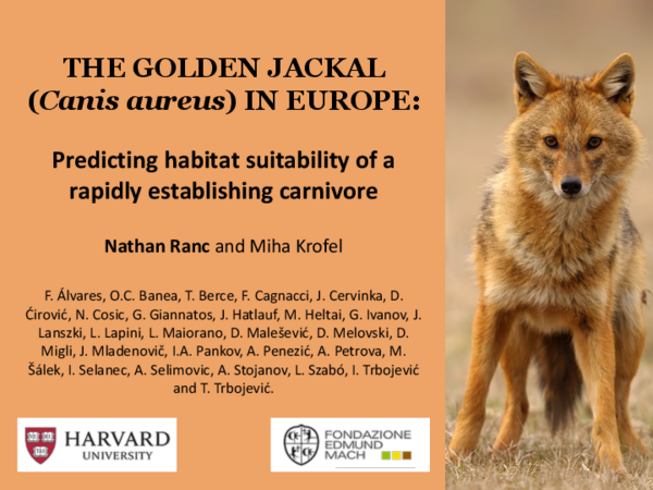 (PDF) The golden jackal (Canis aureus) in Europe: predicting habitat ...