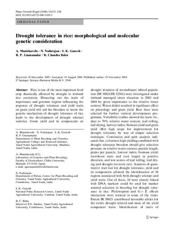 (PDF) Drought tolerance in rice: morphological and molecular genetic ...