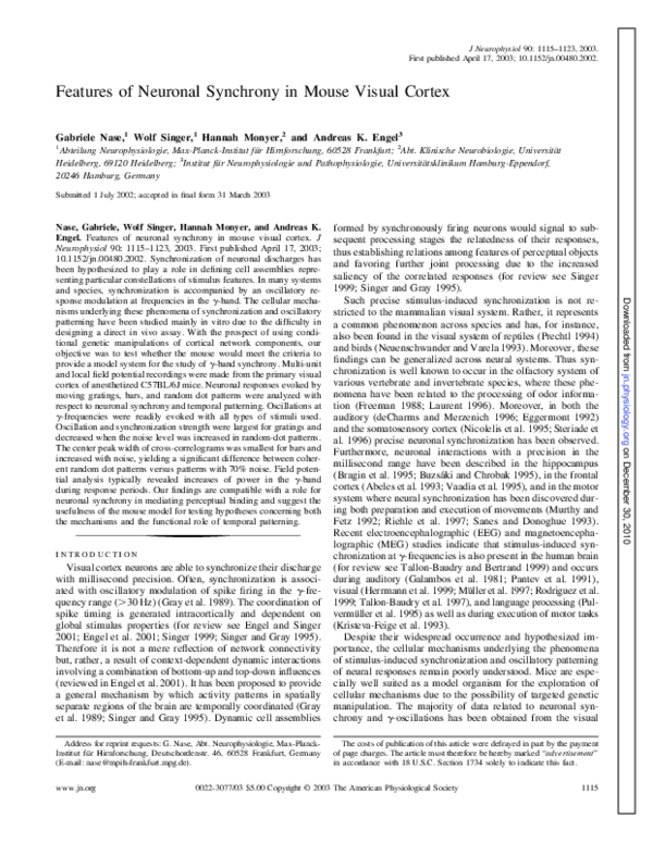 First page of “Features of Neuronal Synchrony in Mouse Visual Cortex”