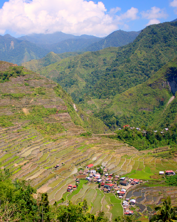 (PDF) The Second Terrace: Reconnecting with Water and the Vernacular in ...