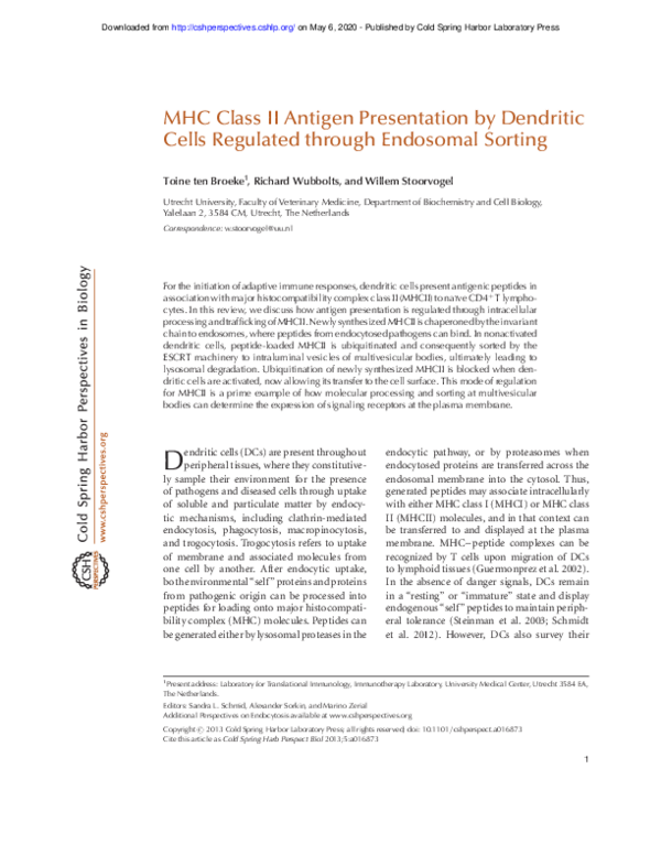 (PDF) MHC Class II Antigen Presentation by Dendritic Cells Regulated ...