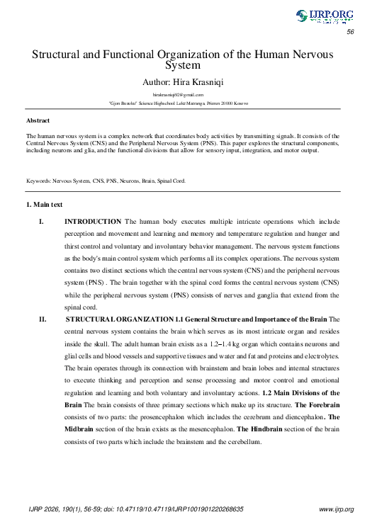 (PDF) Structural and Functional Organization of the Human Nervous System