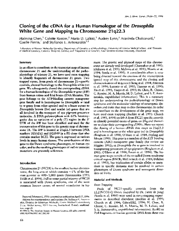 (PDF) Cloning of the cDNA for a human homologue of the Drosophila white ...