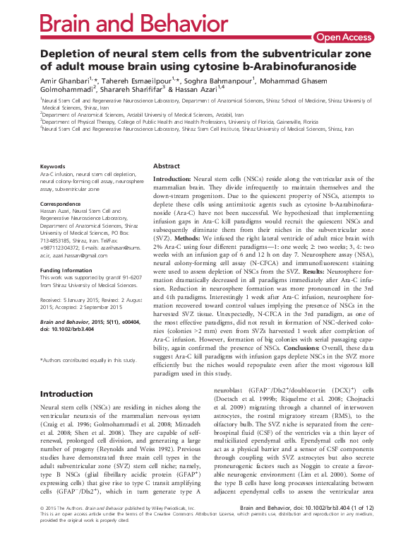 (PDF) Depletion of neural stem cells from the subventricular zone of ...