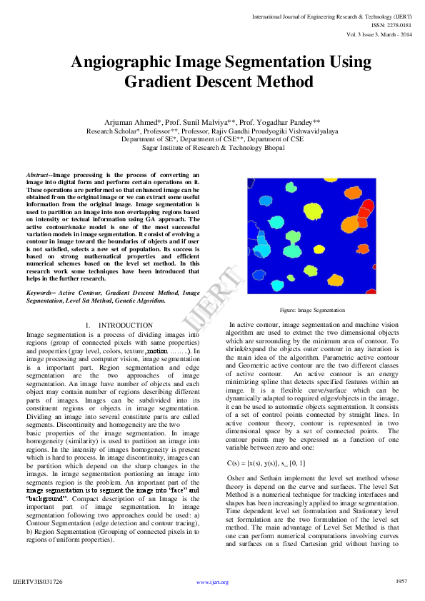 (PDF) Angiographic Image Segmentation Using Gradient Descent Method