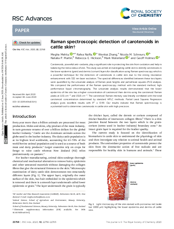 (PDF) Raman spectroscopic detection of carotenoids in cattle skin