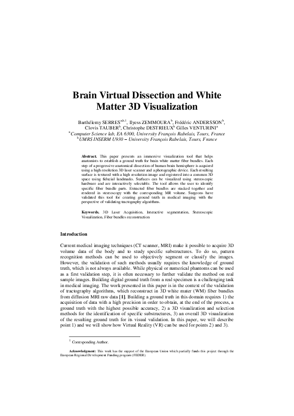 (PDF) Brain Virtual Dissection and White Matter 3D Visualization