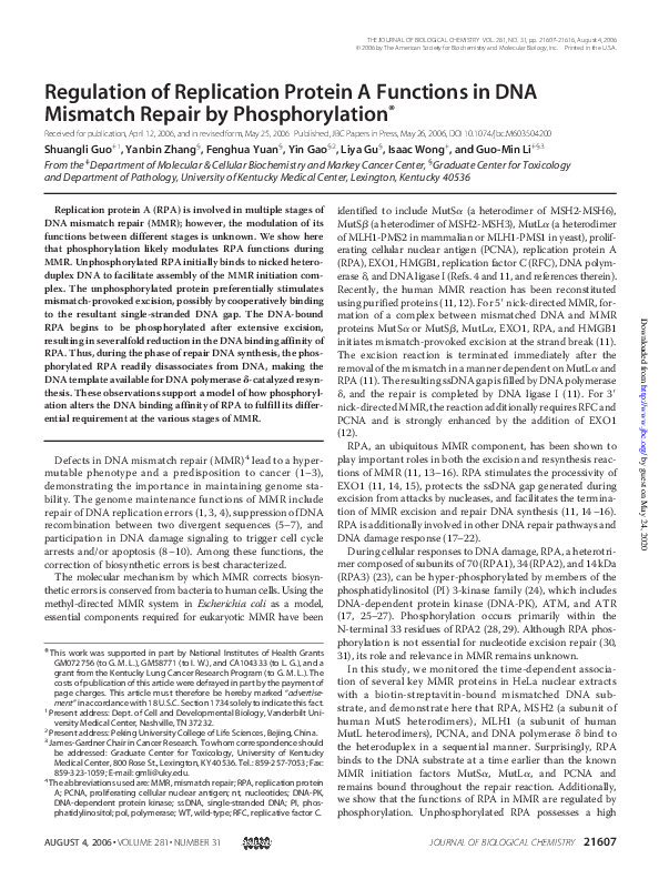 (PDF) Regulation of Replication Protein A Functions in DNA Mismatch ...
