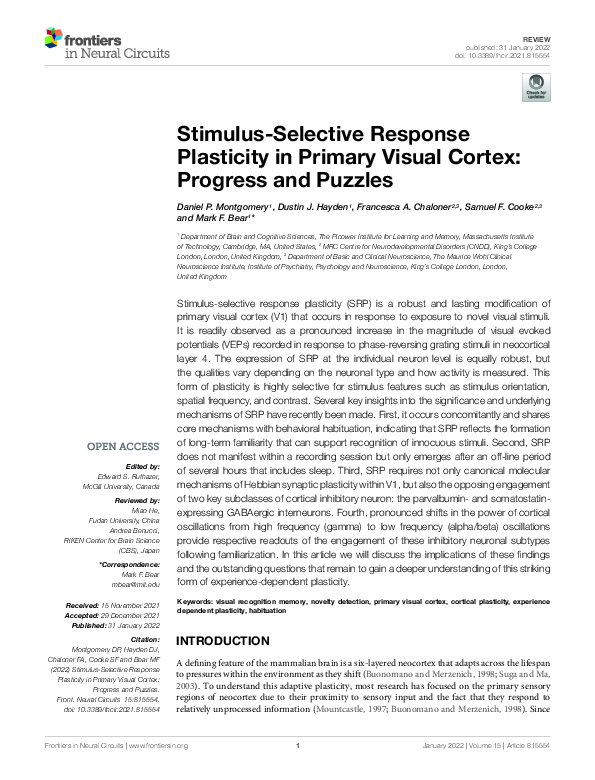 (PDF) Stimulus-Selective Response Plasticity in Primary Visual Cortex ...
