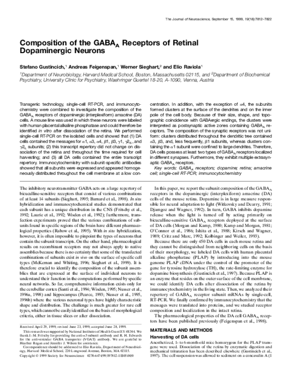 (PDF) Composition of the GABA A Receptors of Retinal Dopaminergic Neurons