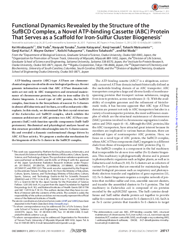(PDF) Functional Dynamics Revealed by the Structure of the SufBCD ...