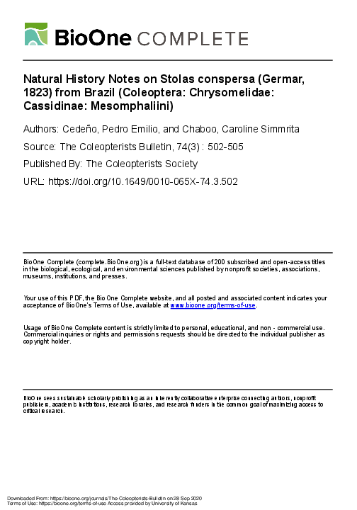 (PDF) Natural History Notes on Stolas conspersa (Germar, 1823) from ...