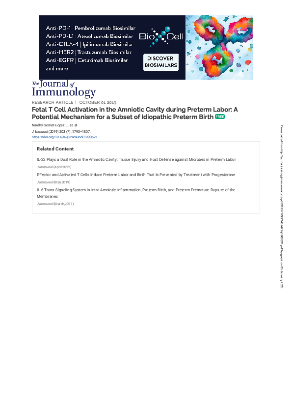 (PDF) Fetal T Cell Activation in the Amniotic Cavity during Preterm ...
