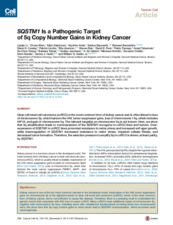 (PDF) SQSTM1 Is a Pathogenic Target of 5q Copy Number Gains in Kidney ...