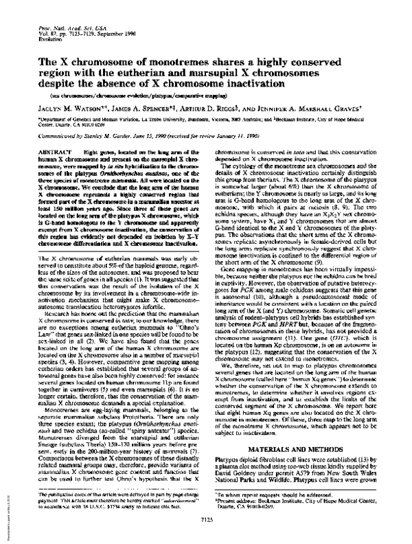 (PDF) The X chromosome of monotremes shares a highly conserved region ...