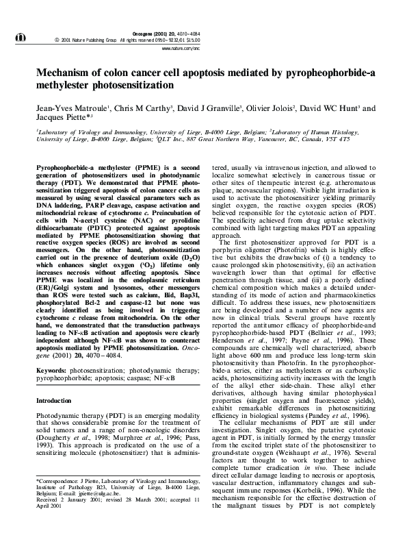 (PDF) Mechanism of colon cancer cell apoptosis mediated by ...