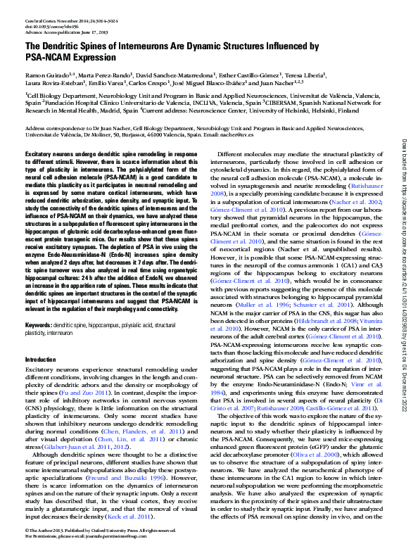 (PDF) The Dendritic Spines of Interneurons Are Dynamic Structures ...