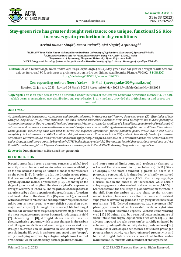 (PDF) Stay-green rice have greater drought resistance: one unique ...