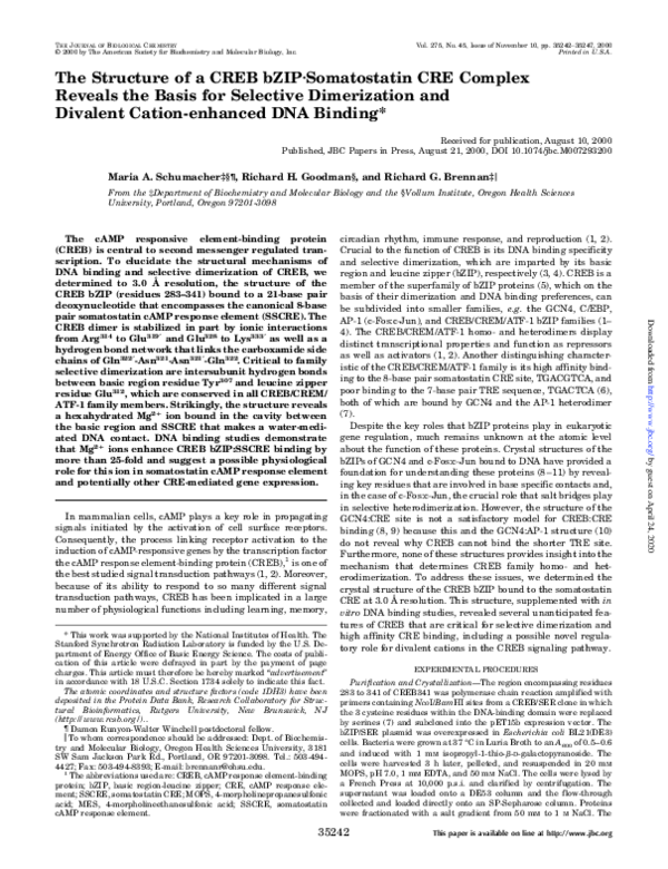 (PDF) The Structure of a CREB bZIP·Somatostatin CRE Complex Reveals the ...