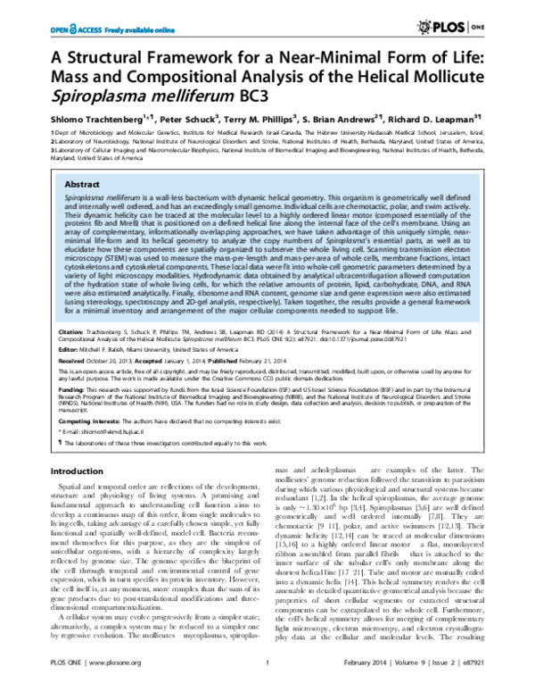 (PDF) A Structural Framework for a Near-Minimal Form of Life: Mass and ...
