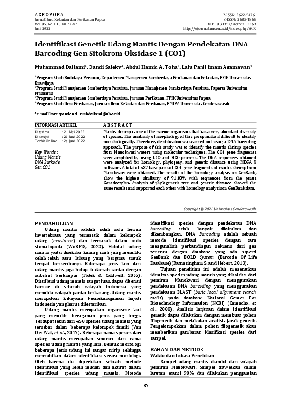 (PDF) Identifikasi Genetik Udang Mantis Dengan Pendekatan DNA Barcoding ...