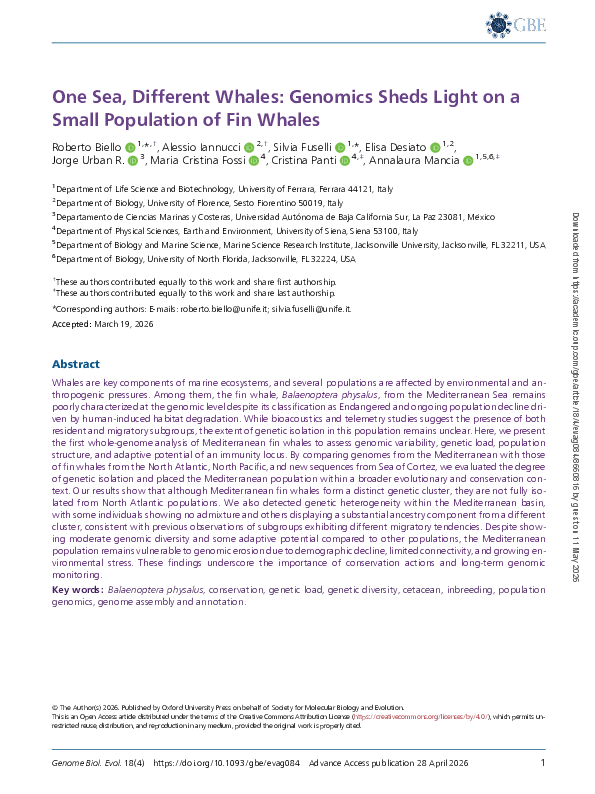 (PDF) One Sea, Different Whales: Genomics Sheds Light on a Small ...