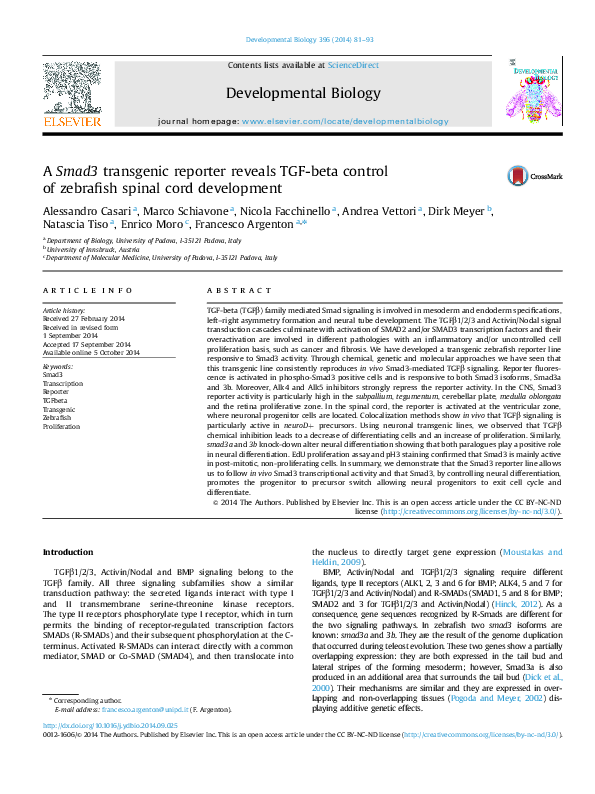 (PDF) A Smad3 transgenic reporter reveals TGF-beta control of zebrafish ...