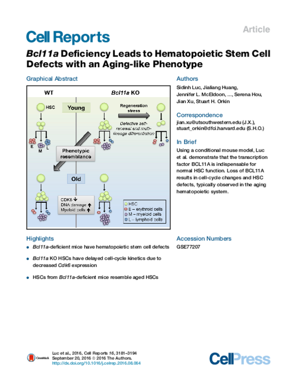 (PDF) Bcl11a Deficiency Leads to Hematopoietic Stem Cell Defects with ...
