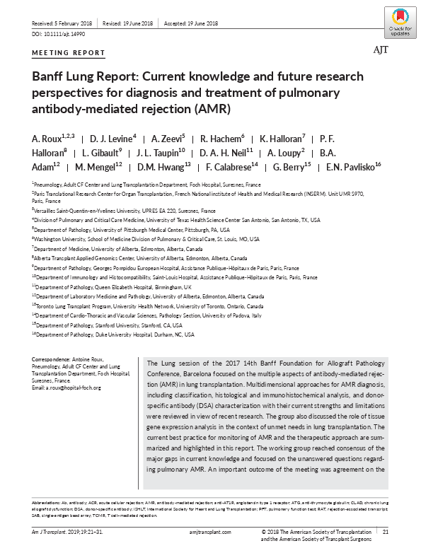 (PDF) Banff Lung Report: Current knowledge and future research ...