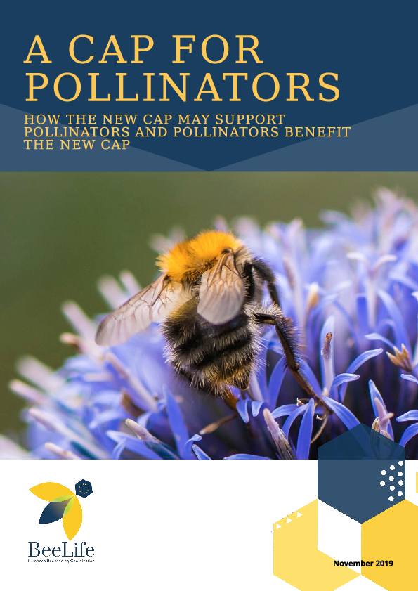 (PDF) A CAP FOR POLLINATORS How the new CAP may support pollinators and ...