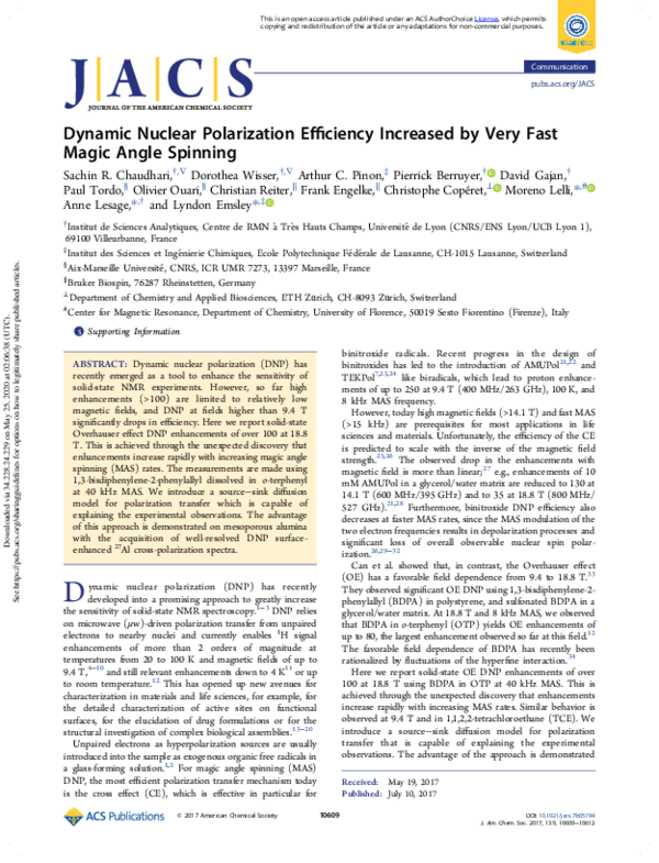 (PDF) Dynamic Nuclear Polarization Efficiency Increased by Very Fast ...