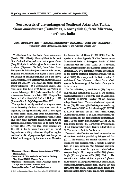 (PDF) New record of the endangered Southeast Asian Box Turtle Cuora ...