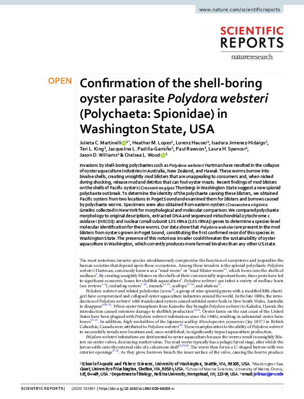 (PDF) Confirmation of the shell-boring oyster parasite Polydora ...