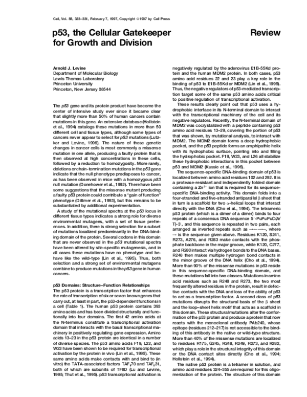 (PDF) p53, the Cellular Gatekeeper for Growth and Division