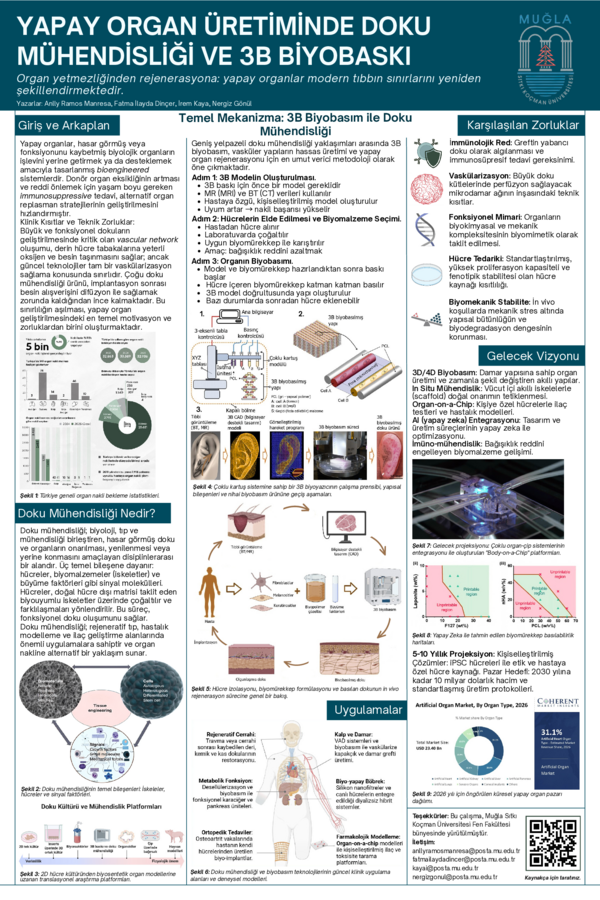 (PDF) Production of Artificial Organs Through Tissue Engineering and 3D ...