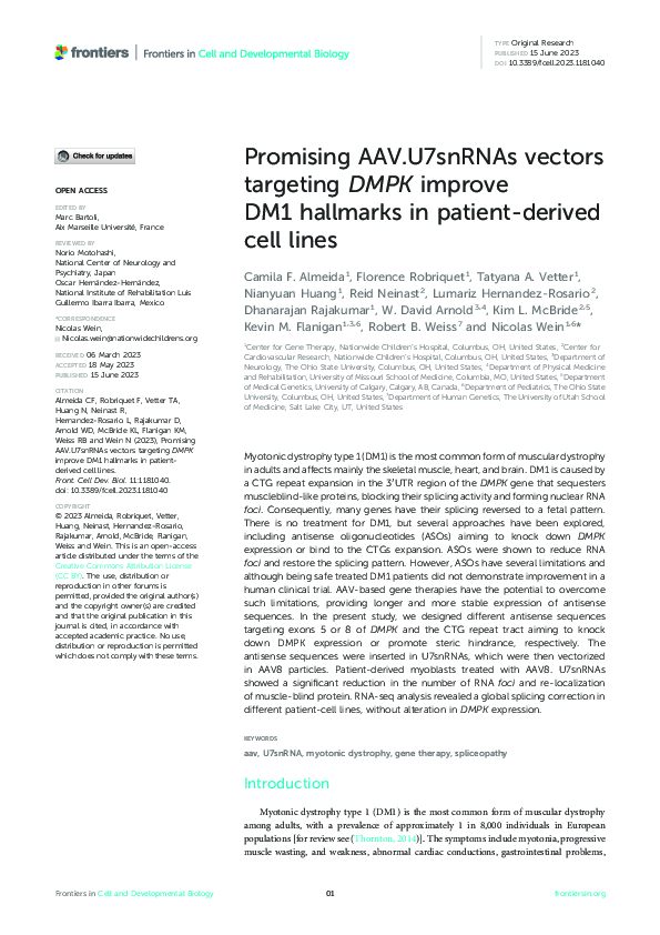 (PDF) Promising AAV.U7snRNAs vectors targeting DMPK improve DM1 ...