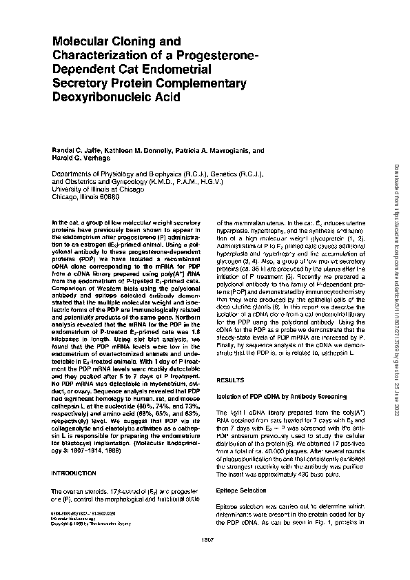 (PDF) Molecular Cloning and Characterization of a Progesterone ...