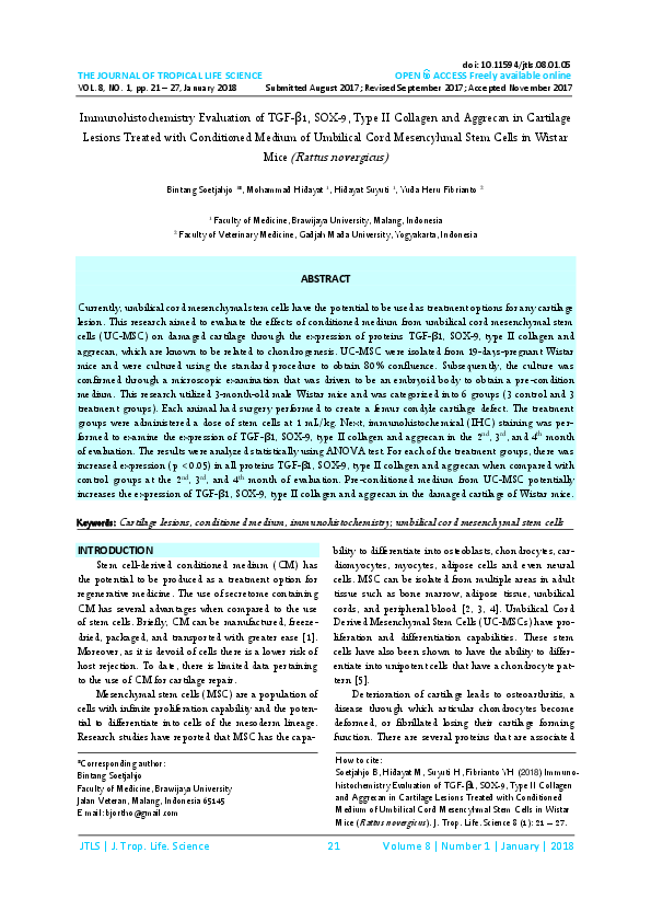 (PDF) Immunohistochemistry Evaluation of TGF-β1, SOX-9, Type II ...